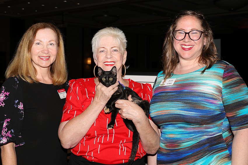 Louann Laybourn, Janet Dymek and Ellie Levine fawn over Noel, a tortoise kitten who is seeking adoption.