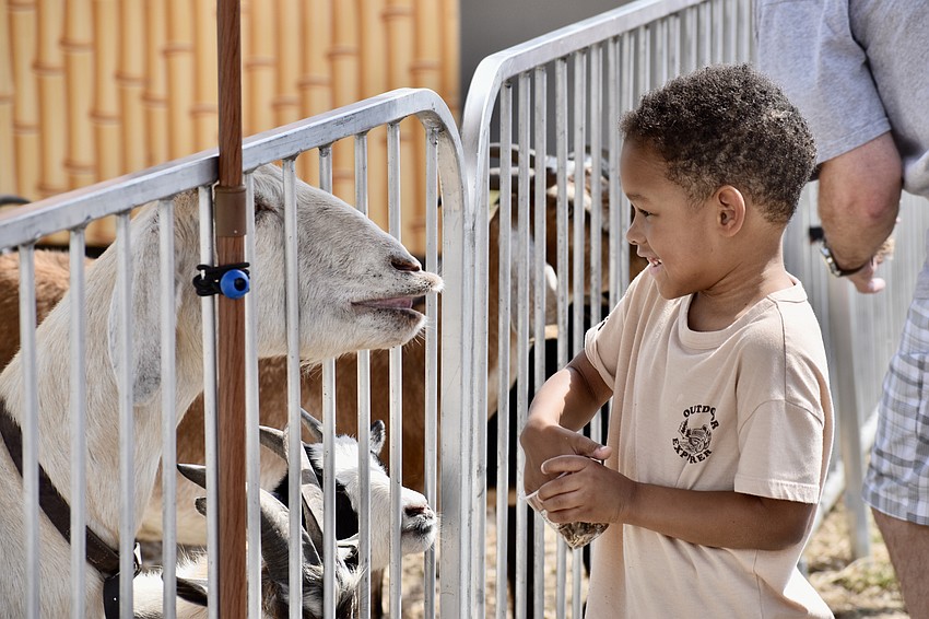 Alex Floyd, 4, enjoys a visit to Goat Island.