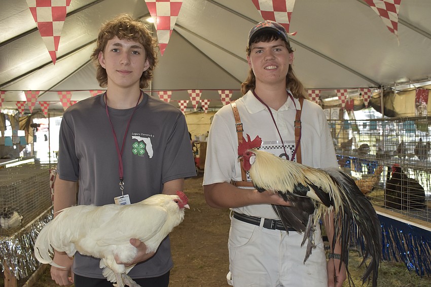 Jason Henry, Grade 11, with Ben and and Wyatt Johnston, Grade 9, with a not-yet-named rooster.
