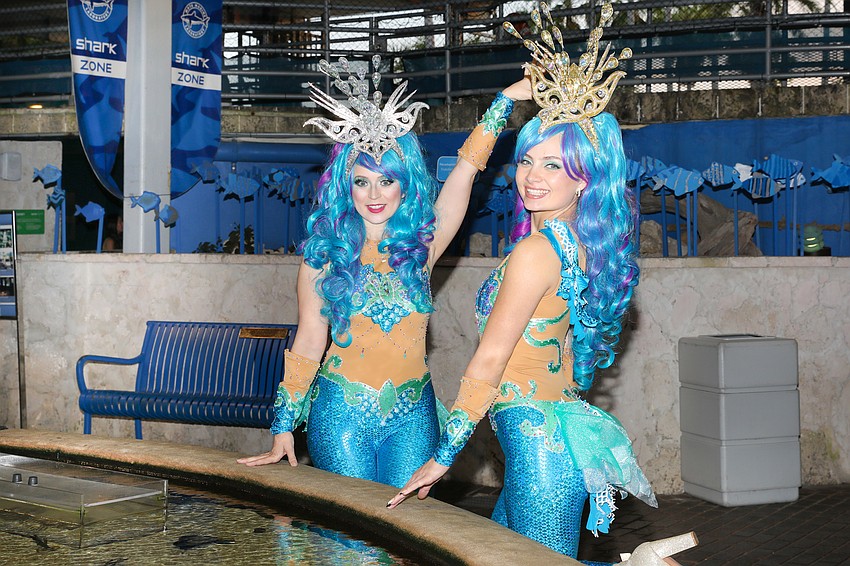 In the Mote Marine Shark Zone are mermaids Ray D. and Sheyla Maltese.