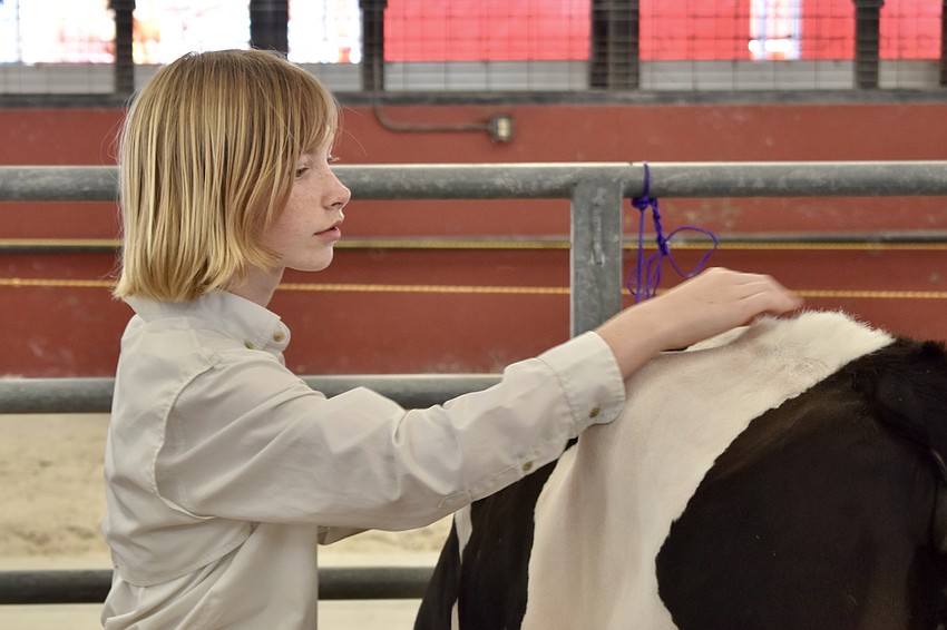 Seventh grader Kaleen Callahan prepares Juniper for the costume show.
