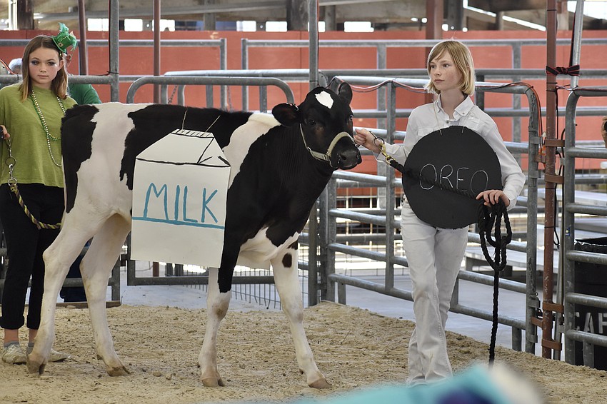 Seventh grader Kaleen Callahan walks with Juniper.