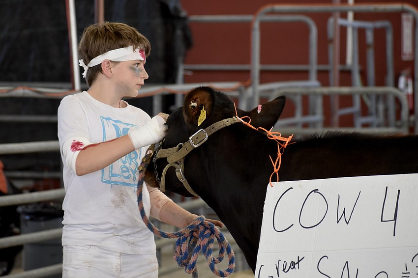 Seventh grader Jackson Watson walks with Posie, whose costume announces that she is for sale, and 