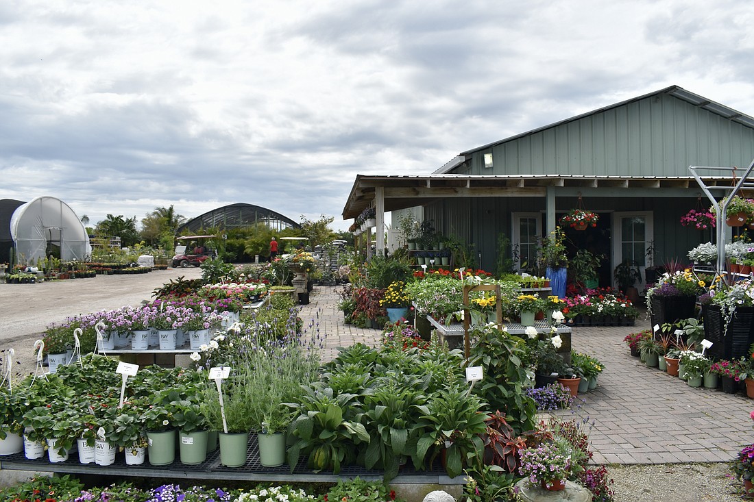 Brewer's Nursery and Landscape Services is located on State Road 64 near Lorraine Road.