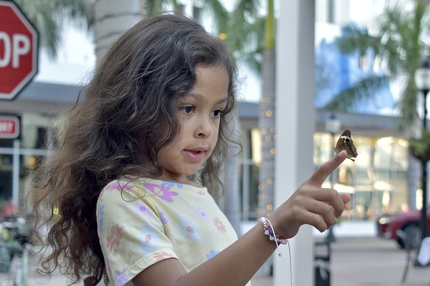 Marley McDonald, 4, releases a butterfly.