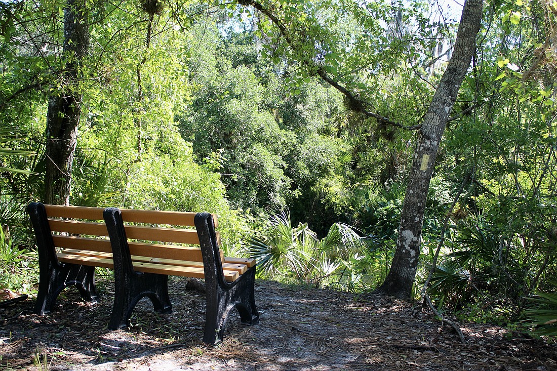 A bench overlooks the Braden River at the end of a dirt trail. Amenities were intentionally kept minimal.