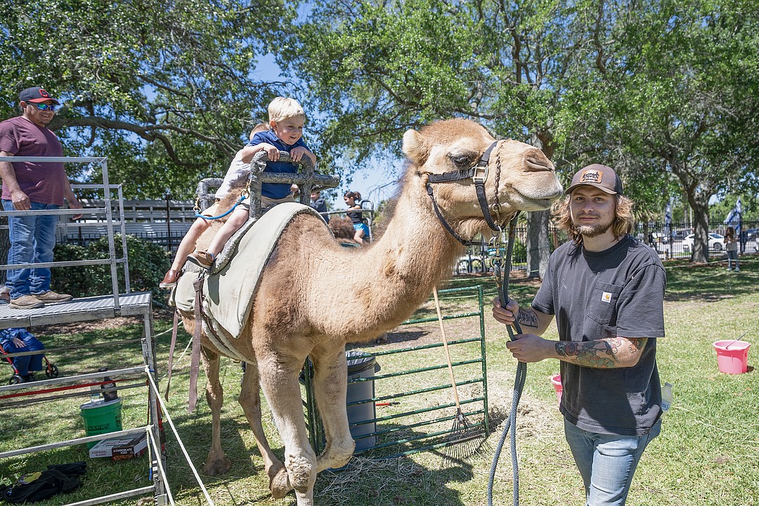 Events calendar: Jewish Festival returns to Ormond Beach