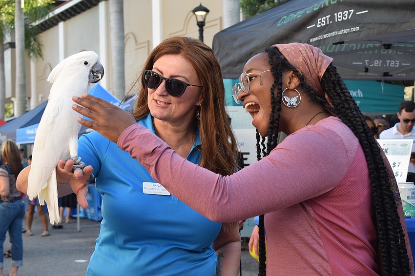 Chester, an umbrella cockatoo, loves talking to people like Lakewood Ranch's Jana Marra and Sarasota's Lethe Kazeh-Anfo.