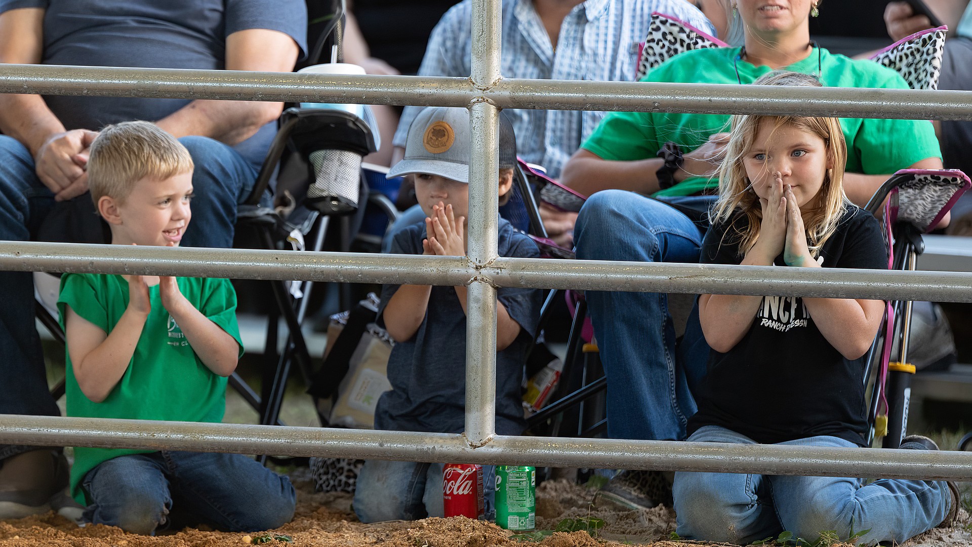 Fair price Winning bid for pig is 74 a pound at Flagler County Fair