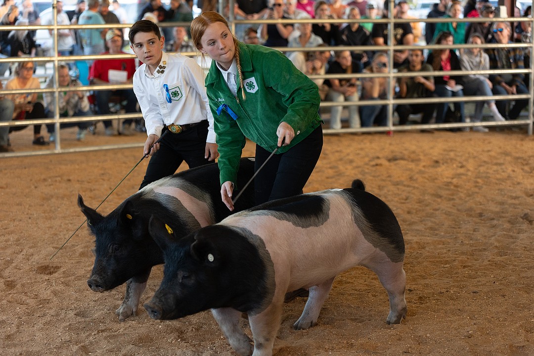 Fair price Winning bid for pig is 74 a pound at Flagler County Fair