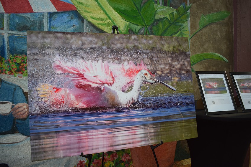 Save Our Seabirds hosted its annual auction on April 11 at Michael's on East.