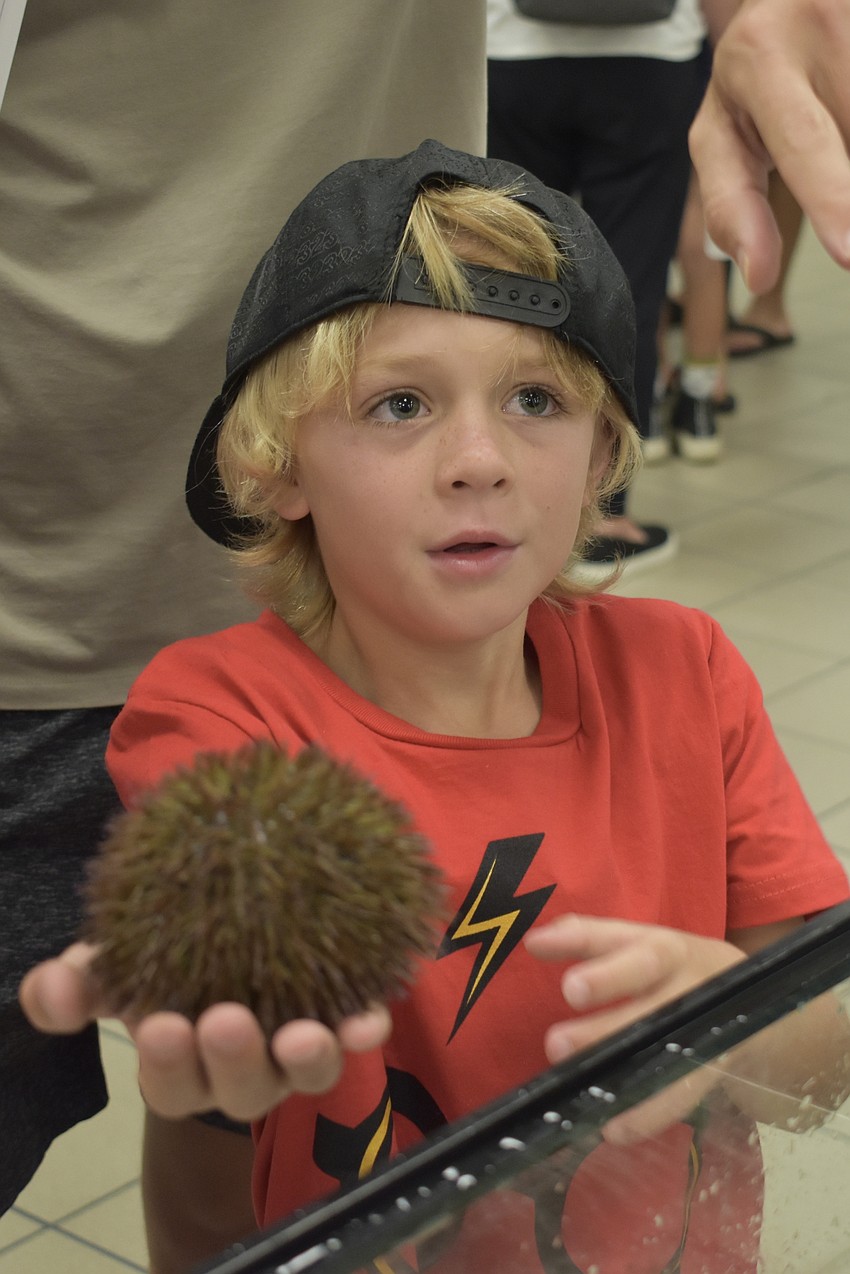 Noah Winter, a first grader, holds a sea urchin from Brookside Middle School.