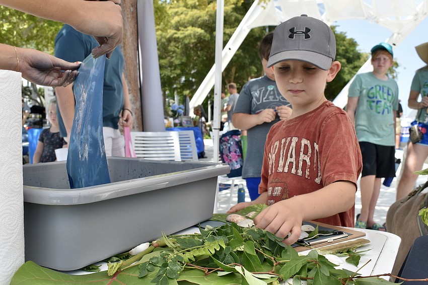 Asher Ripley, 6, assembles plants to create a sun print at Suncoast Waterkeeper.