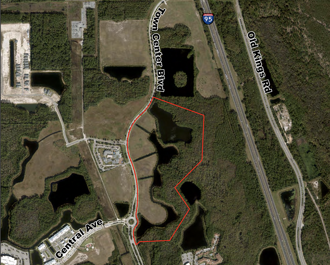 The site of a proposed 264-unit apartment complex in Town Center. Image from Palm Coast Planning Board meeting documents