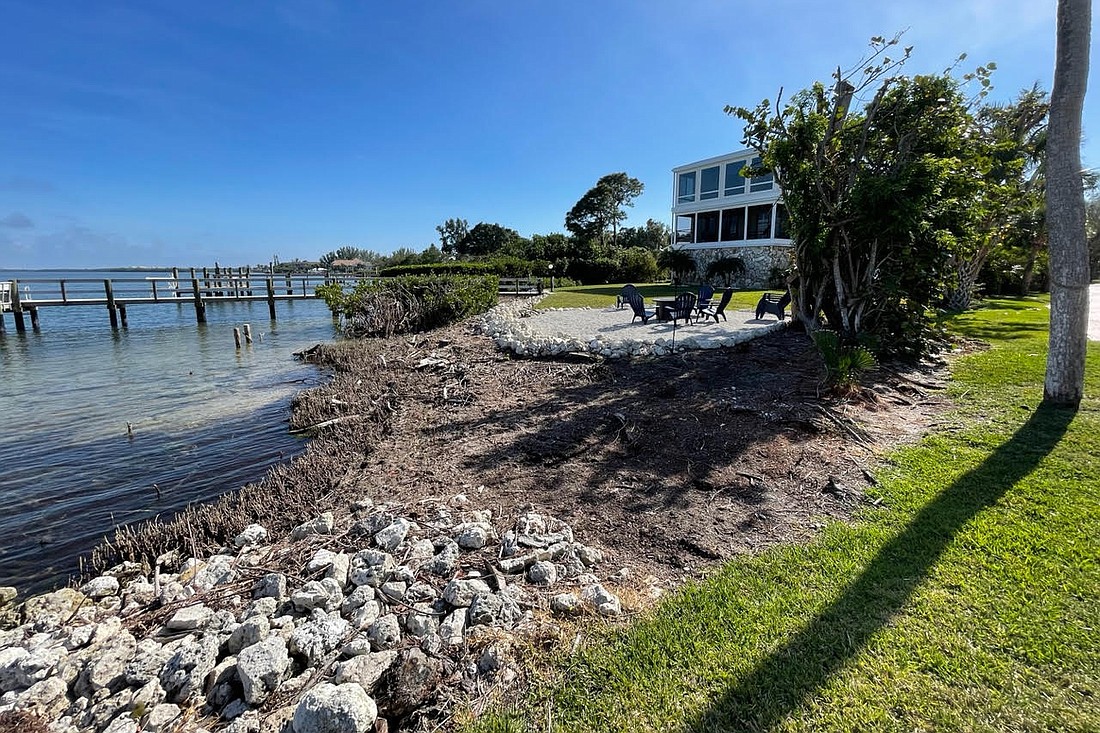 At their April 17 meeting, barrier island mayors discussed how they might collaborate to better enforce regulations preventing illegal trimming or removal of mangroves, like the one that occurred on Longboat in 2023.
