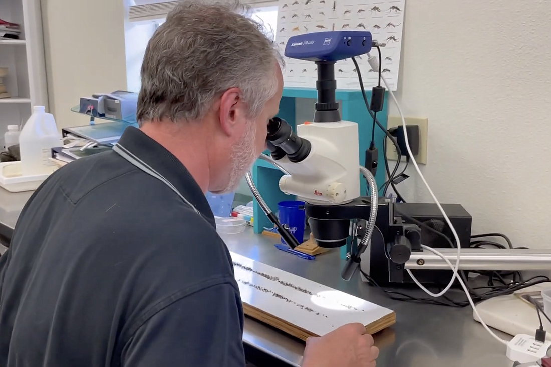 Wade Brennan in the Sarasota County Mosquito Management Laboratory.