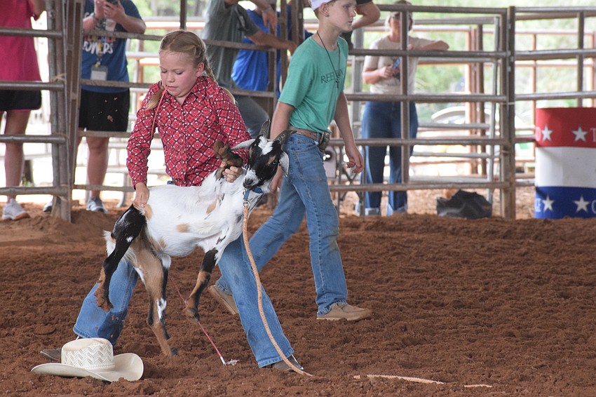 Macie Connours ties down a goat in 26.59 seconds. The goal was to have three of the goat's legs tied together for at least six seconds as fast as possible.