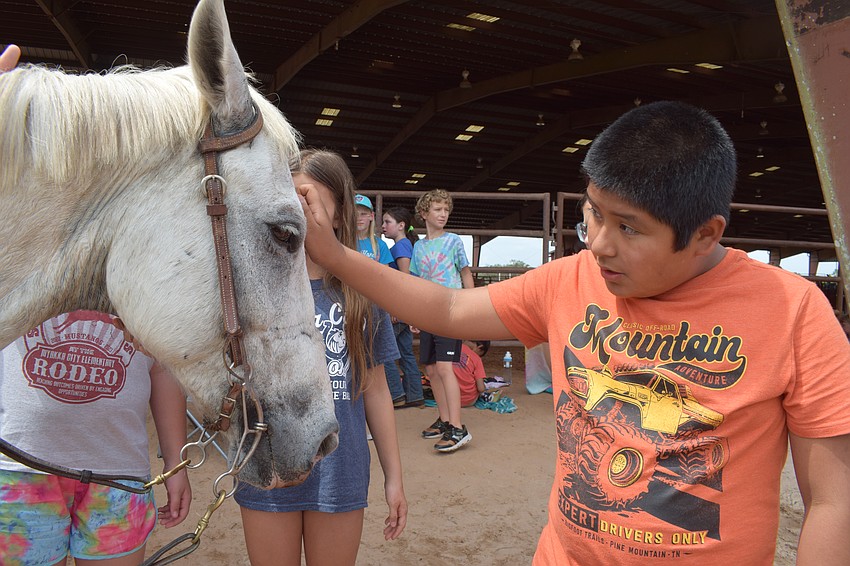 Fourth grader Jerson Olivera touches a horse for the first time.