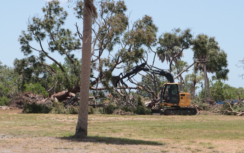 A backhoe pulls a large tree apart May 29 inside a fenced-off section of the Uplands Preserve, owned by New College of Florida. The college is clearing the area to make way for beach volleyball courts and a lacrosse practice field.