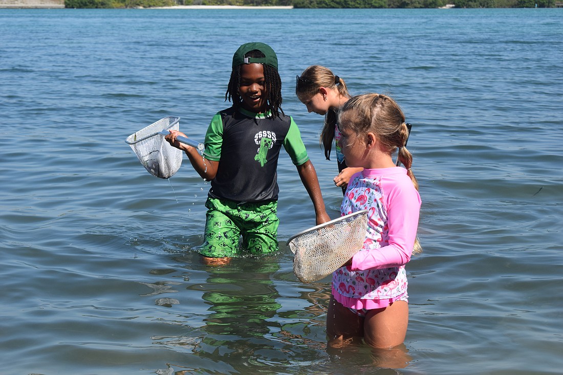 Campers Xander Francois, Brooke Turner and Nicky Korenek find sea urchins while dip netting.