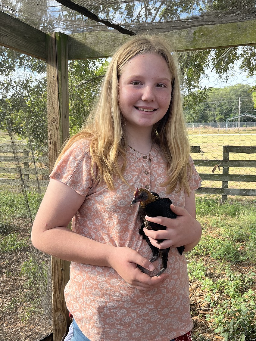 Riley Lukachyk, who is 11, loves holding a chicken. She spent time in the chicken coop at Lakewood Ranch High School during Junior Ranchers summer camp.
