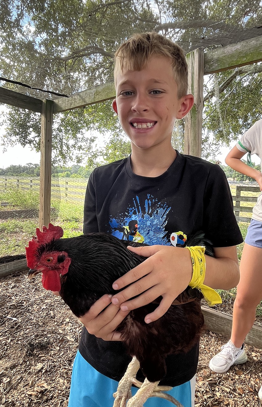 Chase Reynolds, who is 10, is careful when holding a chicken.