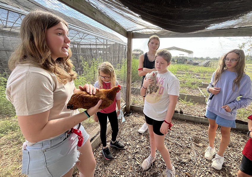 Ashley Crane, a rising senior, talks to campers about how to tell the difference between a boy chicken and a girl chicken.