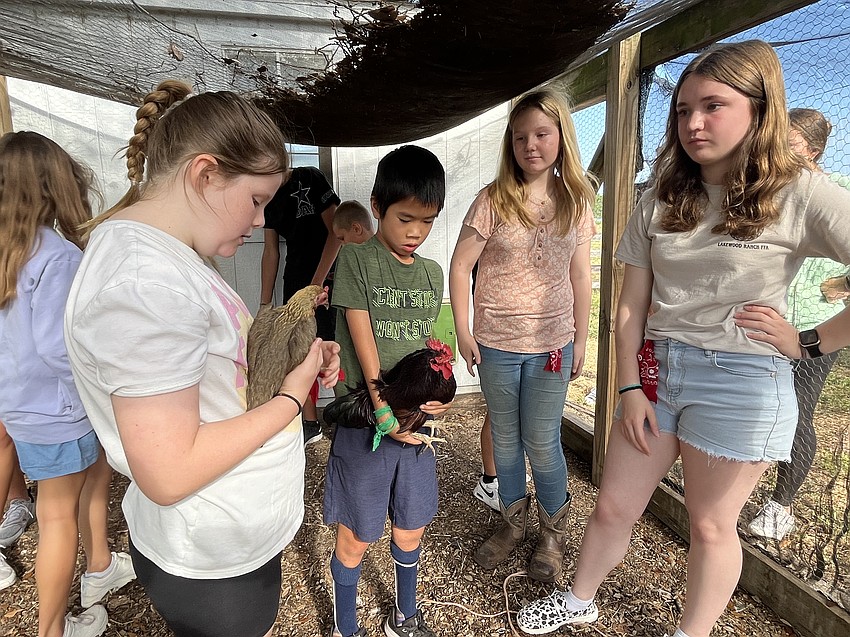 Mary Anne Poulton, Ethan Carr and Riley Lukachyk listen as Ashley Crane shares facts about chickens.