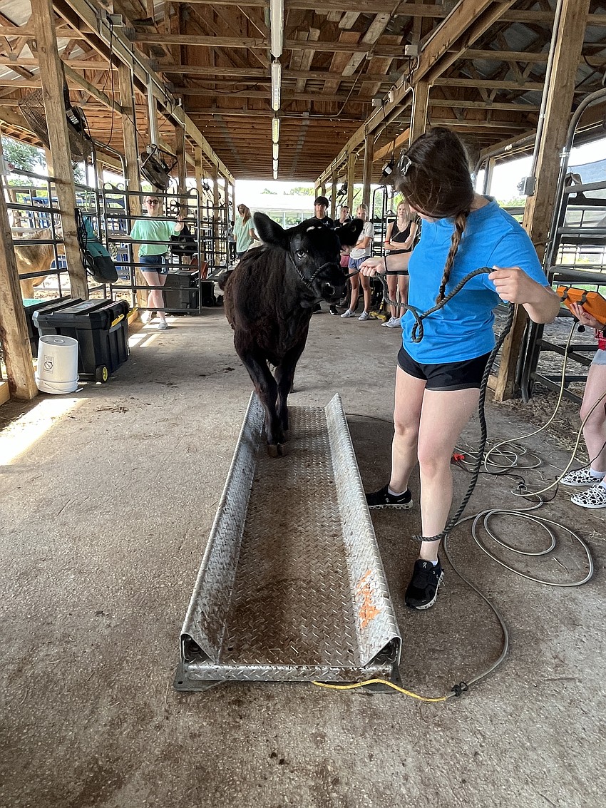 Doug takes his time getting on the scale with the help of Camryn Shear, a rising junior.