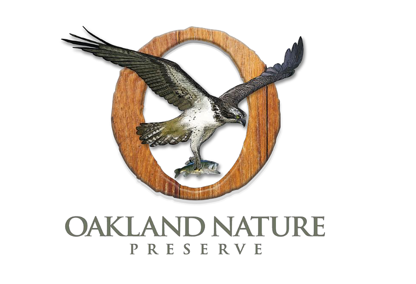 Oakland Nature Preserve Cancels Blue Hike Paddle Event