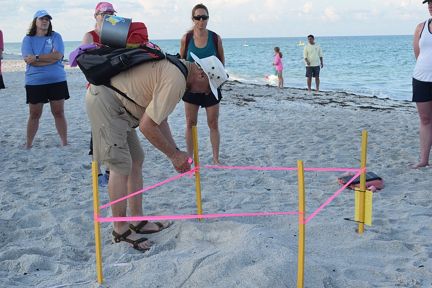 Sam DiGiammarino marking a turtle nest.