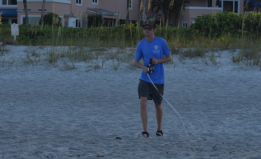 Caleb Jameson measuring the distance of the nest from the seawall line.