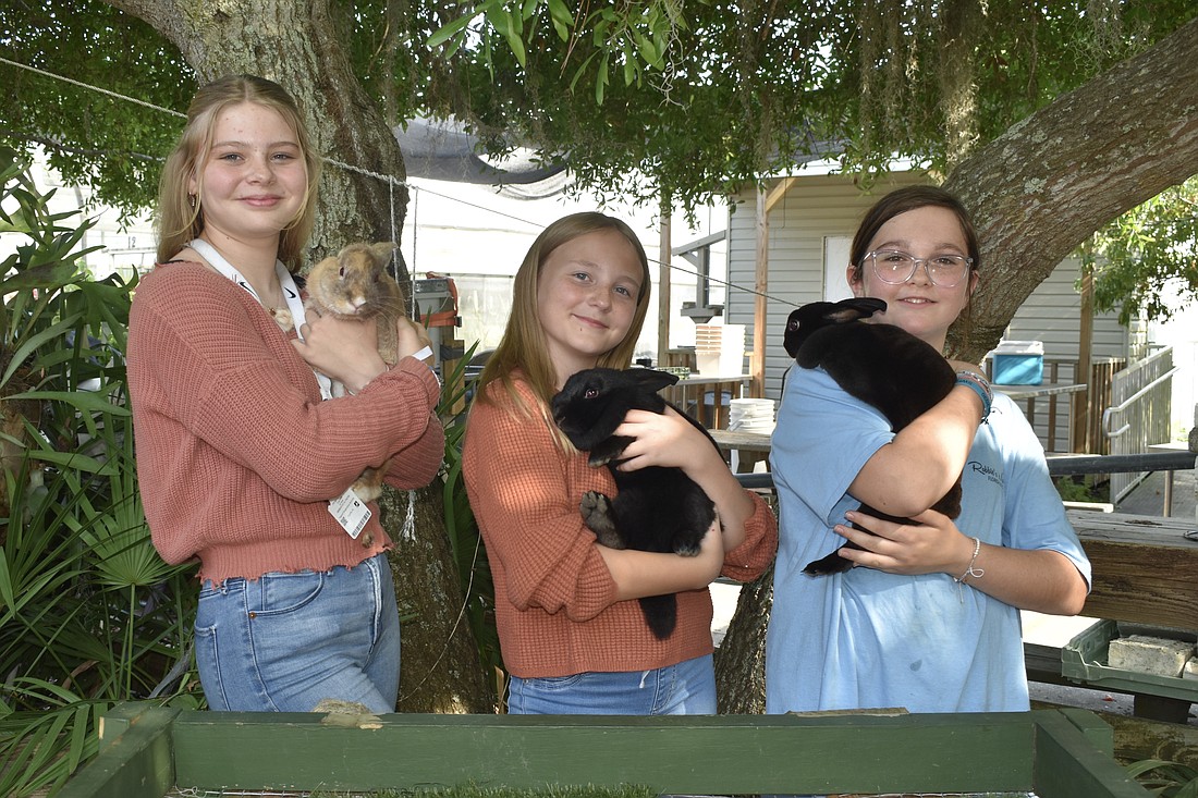 McIntosh Middle School students Skyler Rissler, Baylee Wallingford and Kinleigh Souders with their rabbits Marvel, Finn and Velvet