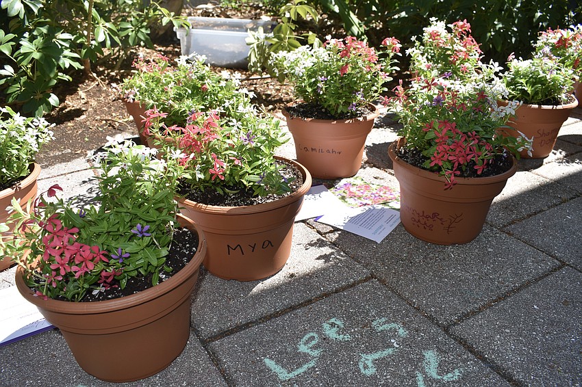 The completed flower pots are placed beside one another.