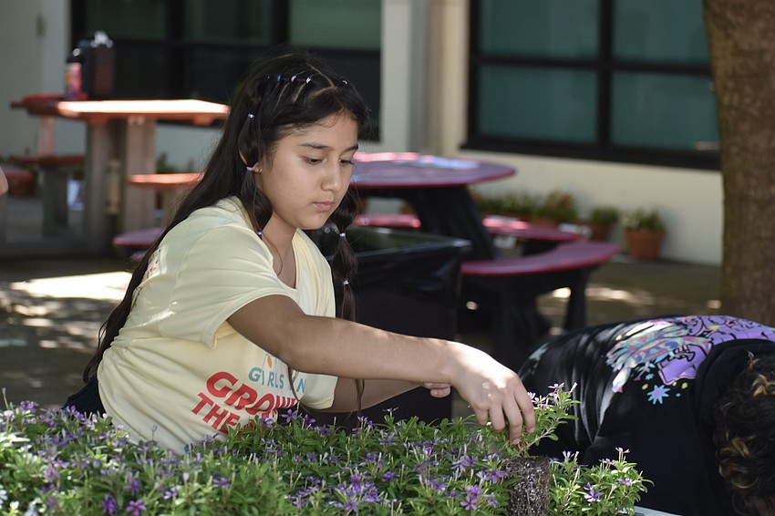 Williannys Q, 12, gathers the flowers for planting.