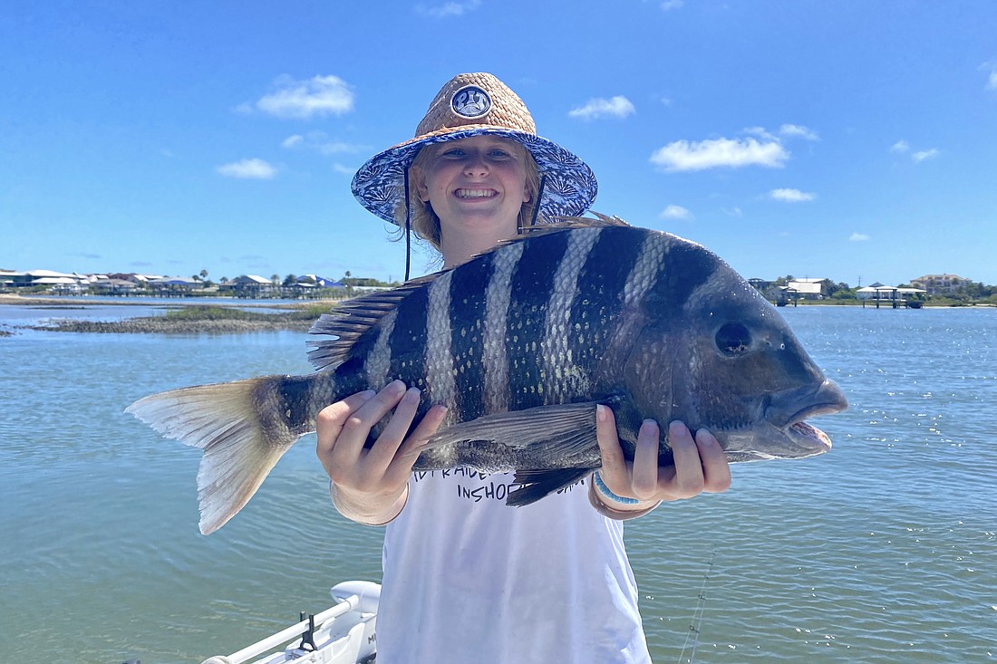 Kai Williams caught this 8 pound, 6 ounce sheepshead in a fishing tournament on Father's Day weekend. Courtesy photo
