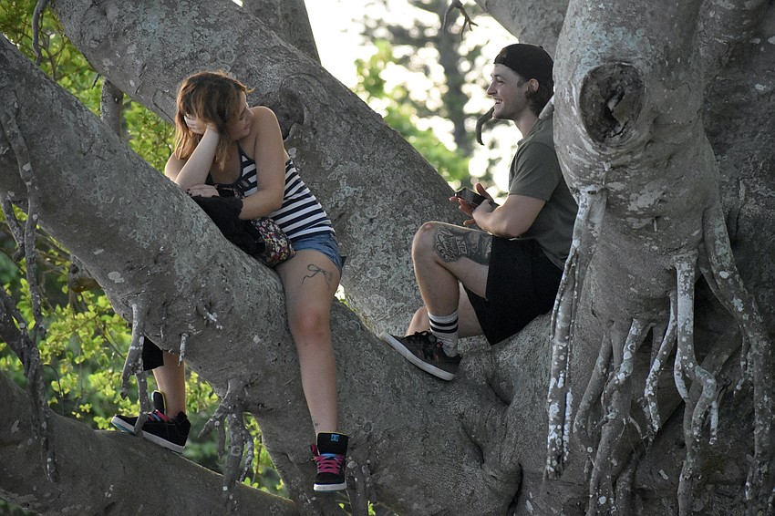 Gwyn Dotson and Spencer Menke took to the treetops to view the fireworks.