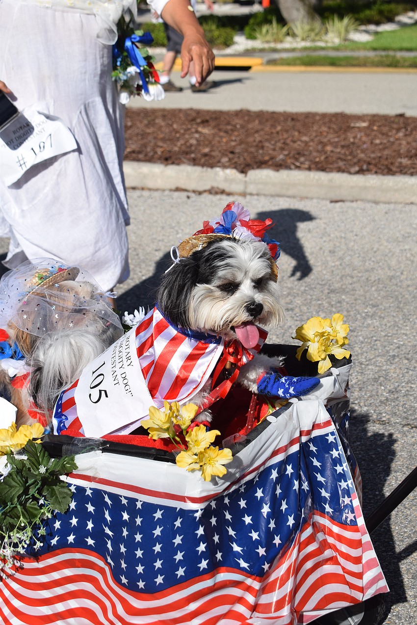 Medge and Michael Jaspan