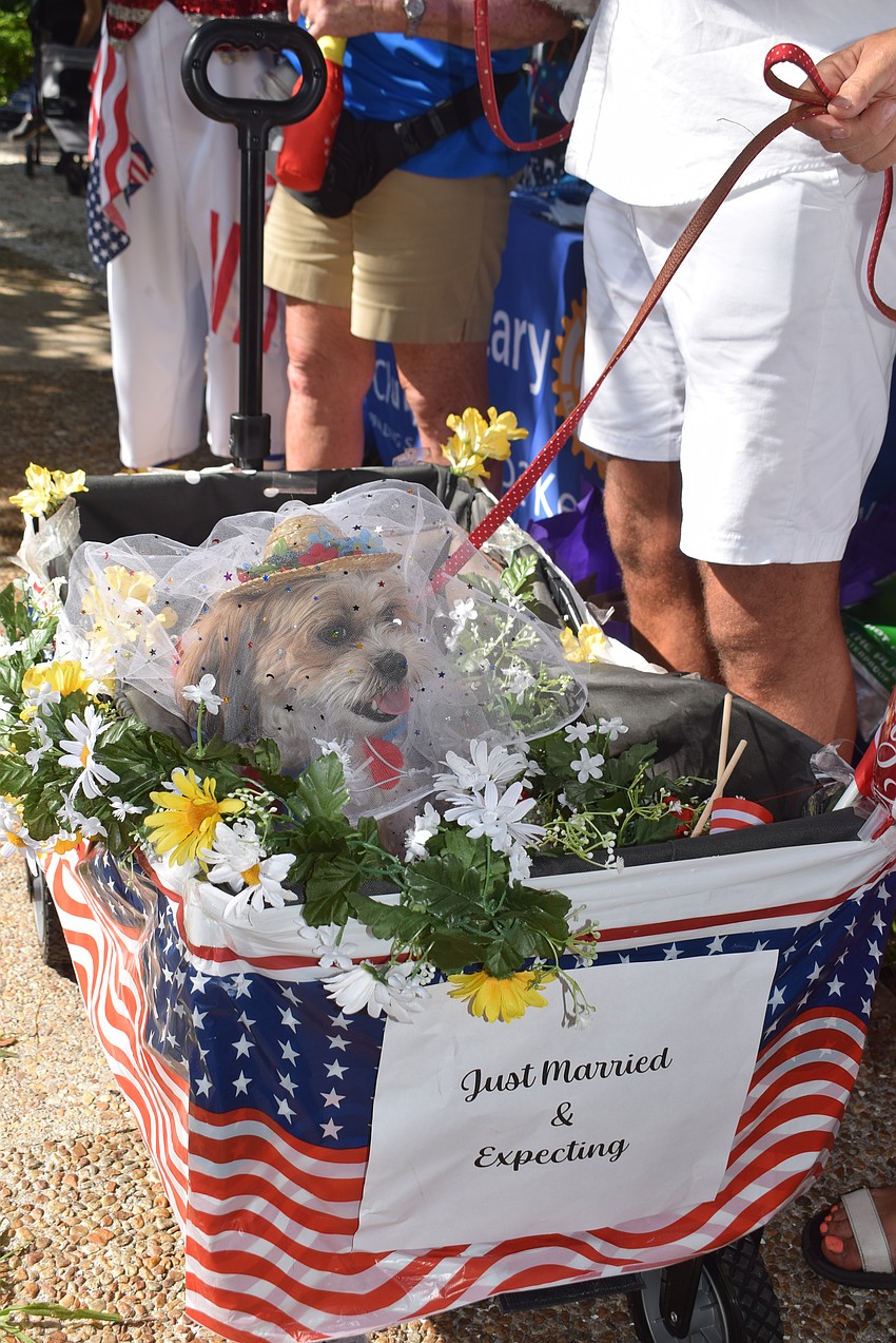 Frank and Martina Kinslow's dog Tinkerbell