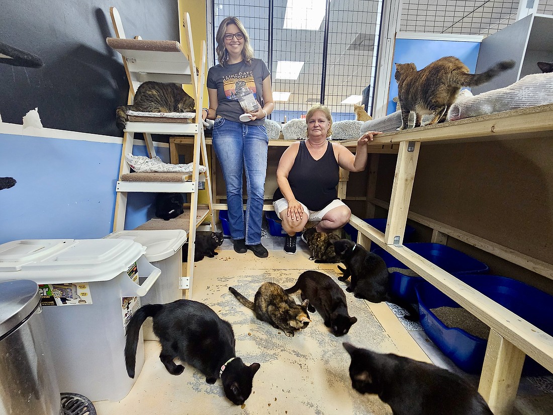 Rae Andreano and Community Cats of Palm Coast Executive Director Jessica Myers in Community Cats' adoption center. Photo by Sierra Williams