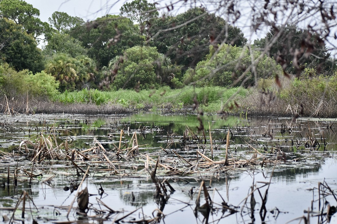 Wetlands in Lakewood Ranch are monitored regularly to keep invasive plant species at bay and ensure proper water flow.