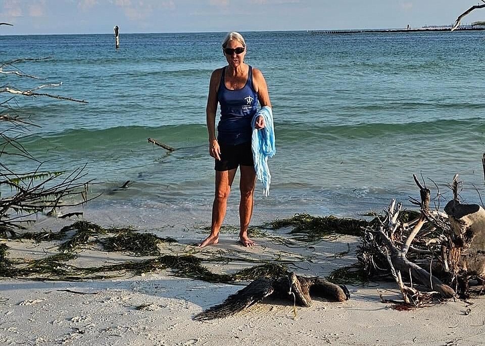 Terri Driver with the rescued great blue heron.