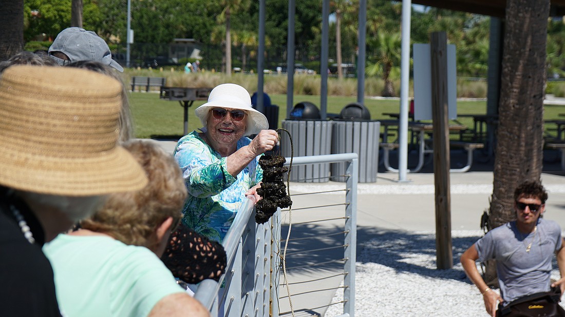 Beverly Pillot holds up an existing vertical oyster garden from Bayfront Park.