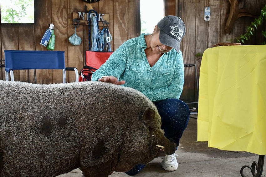 Jackie Jaakola only lives three miles away from the conservatory, so she's met the animals before.