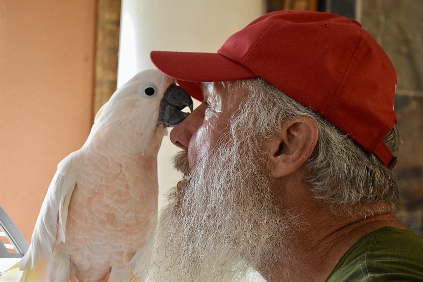 Puppy cuddles with her foster dad Greg Para.