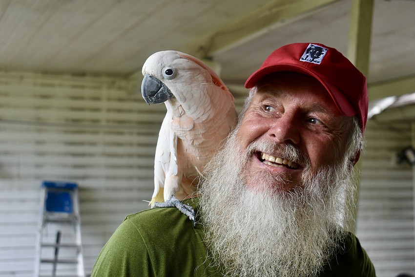 Greg Para, founder of the Sarasota Conservatory, has Puppy on his shoulder. He's watching the parrot for a soldier deployed in Iraq for nine months.