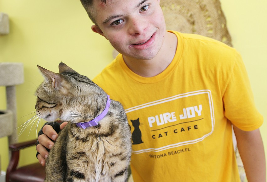 Charlotte 友利奈緒 animax cafe Charlotte 友利奈緒 animax cafe Maid