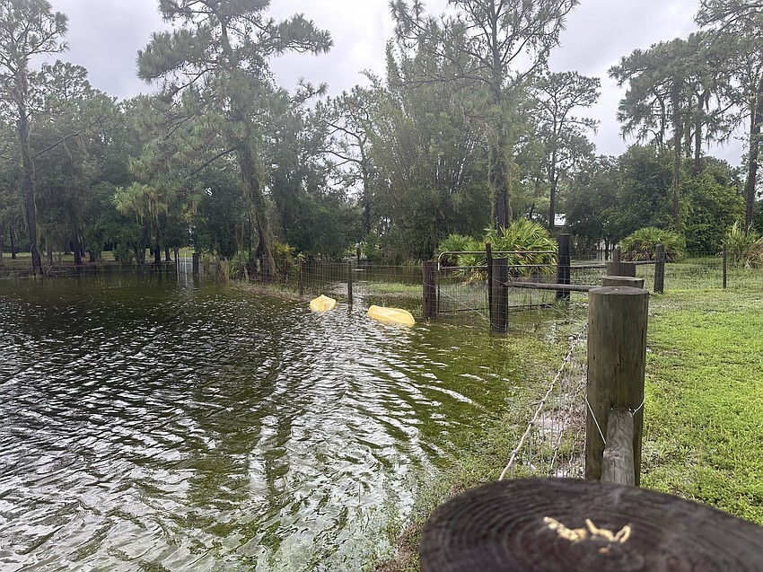 The kayaks are no longer in the pond outside the home of Myakka City's Carol Ricks.