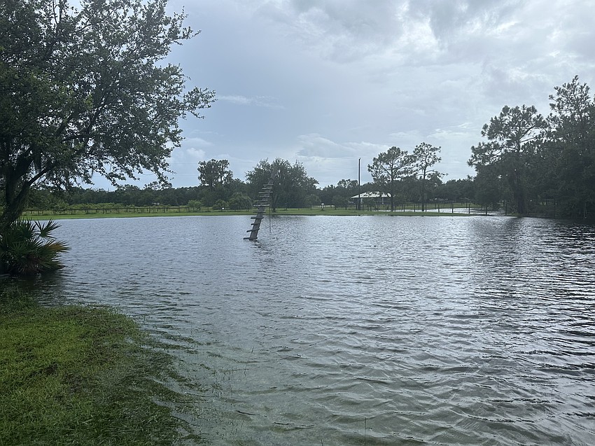 Before Hurricane Debby, the water only reached the pole that is now in the middle of the pond outside the home of Myakka City's Carol Ricks. Children used to use the rope hanging from the pole to swing into the lake.