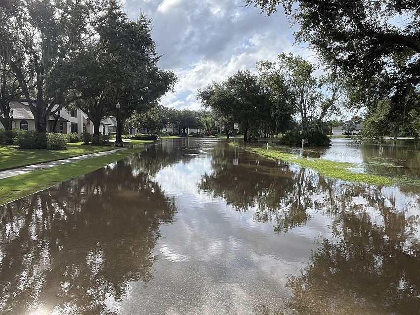The flood waters perfectly reflect the trees on Pine Valley Street in River Club.